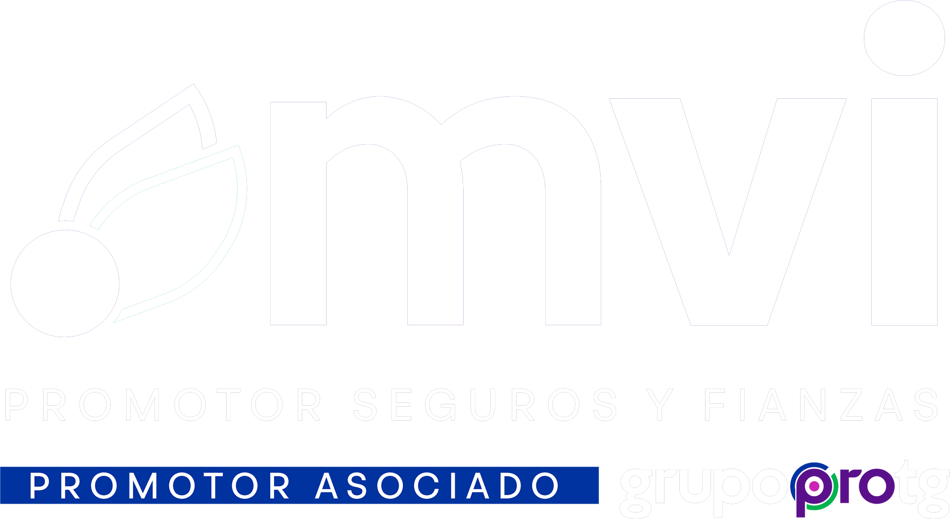 Logo MVI